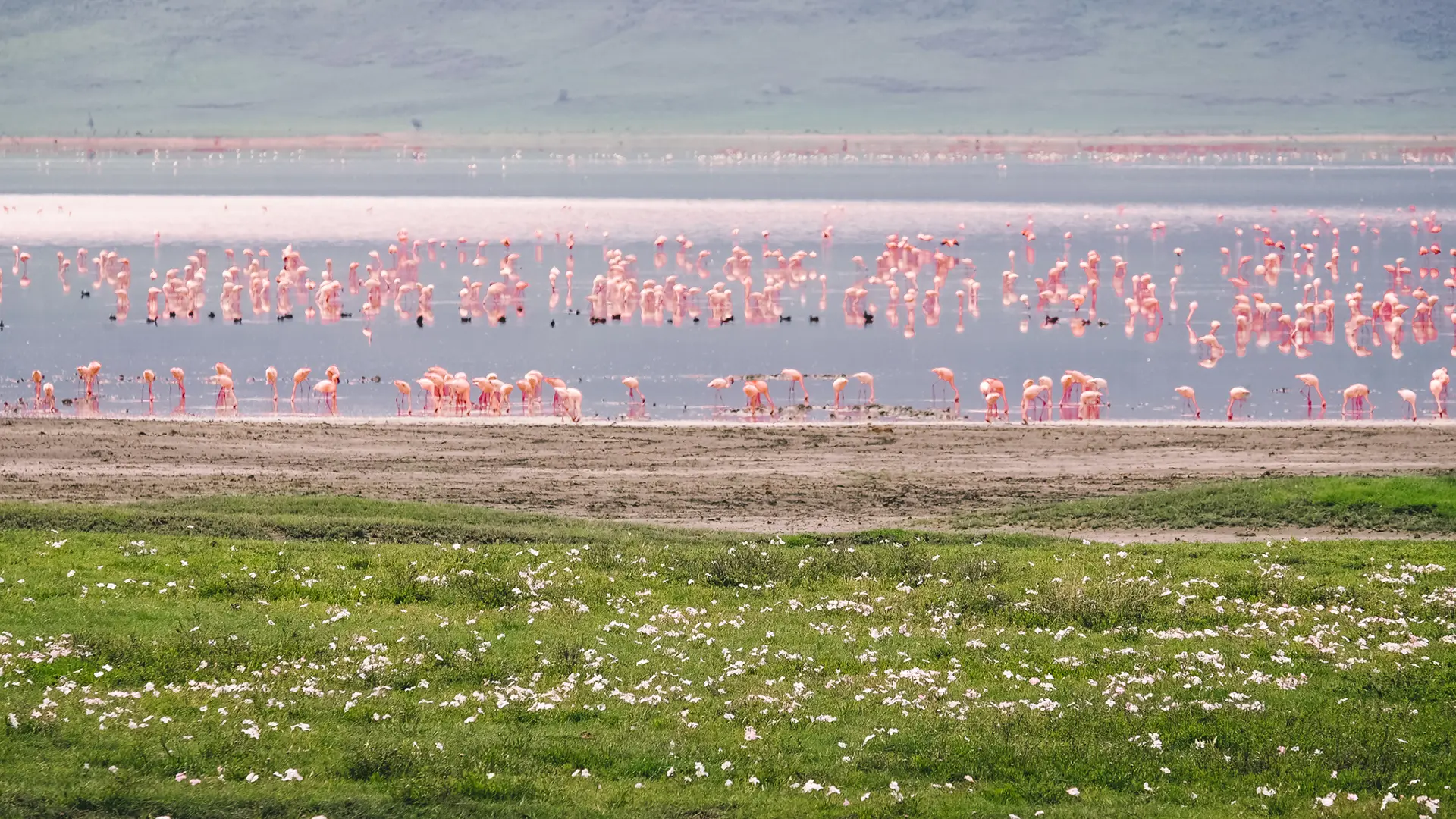 10 Reasons to Go on Safari in Northern Tanzania