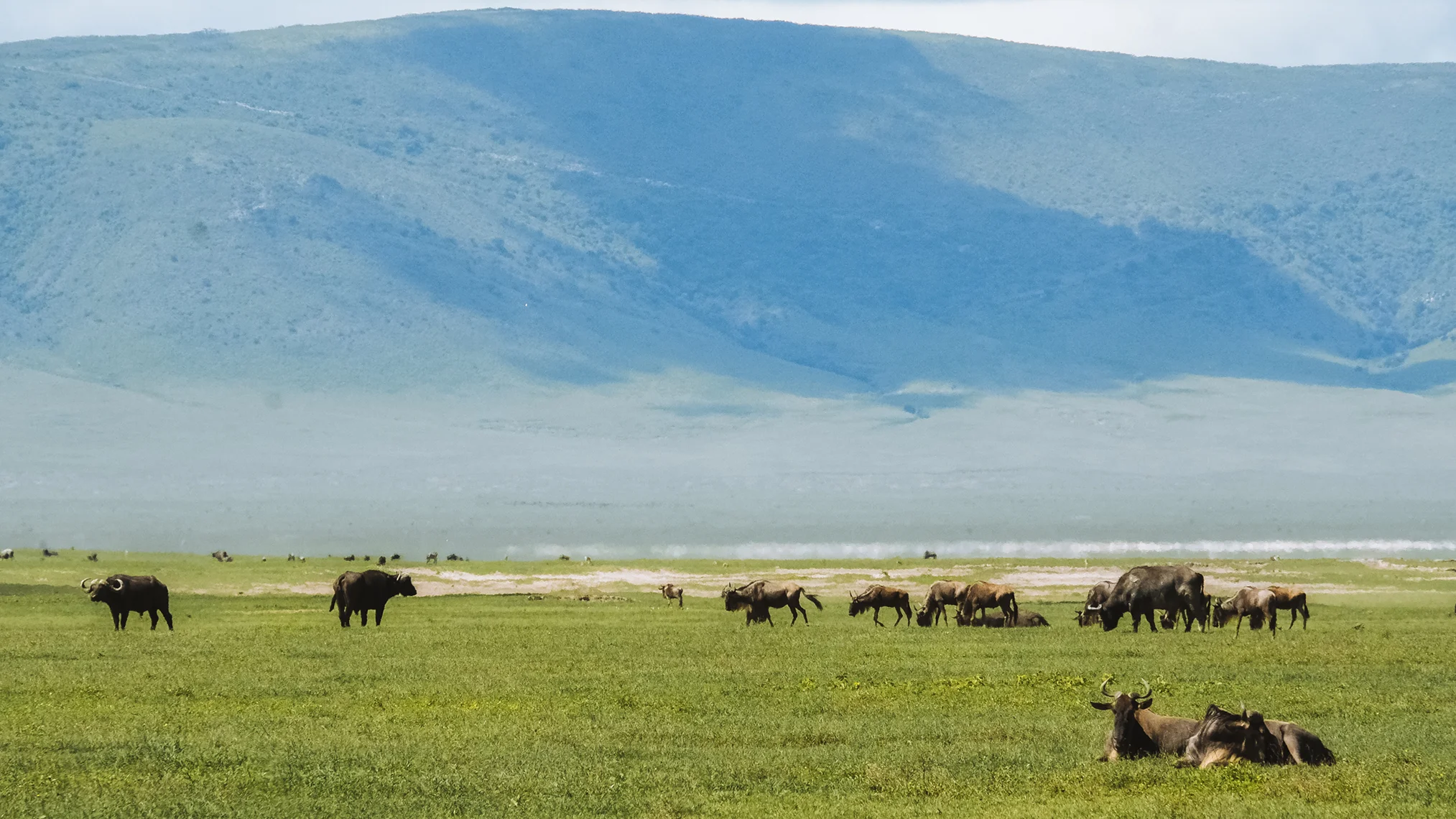 Ngorongoro Crater: A Month-by-Month Safari Calendar