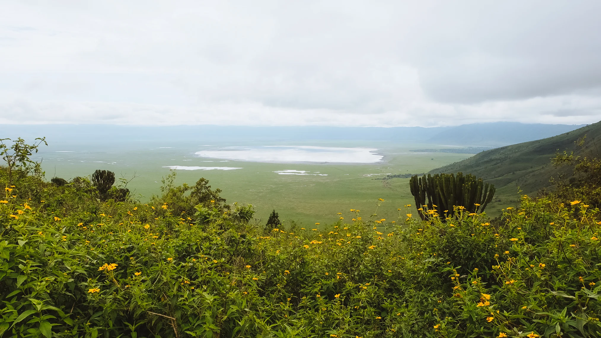 The Big 5 of Ngorongoro: Where to Find Them and What to Know
