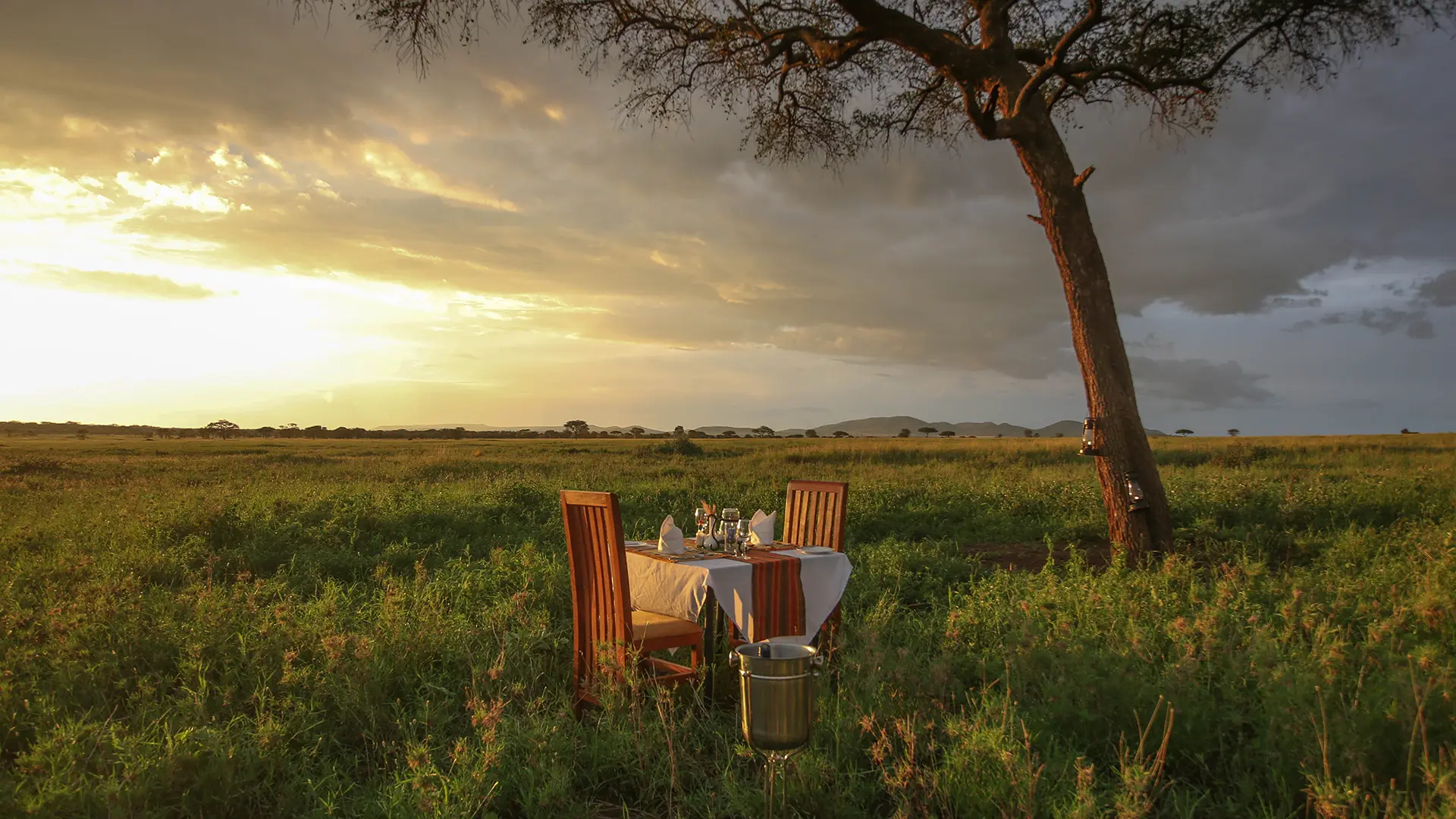 What Makes Luxury Travel in the Serengeti Unique in the World