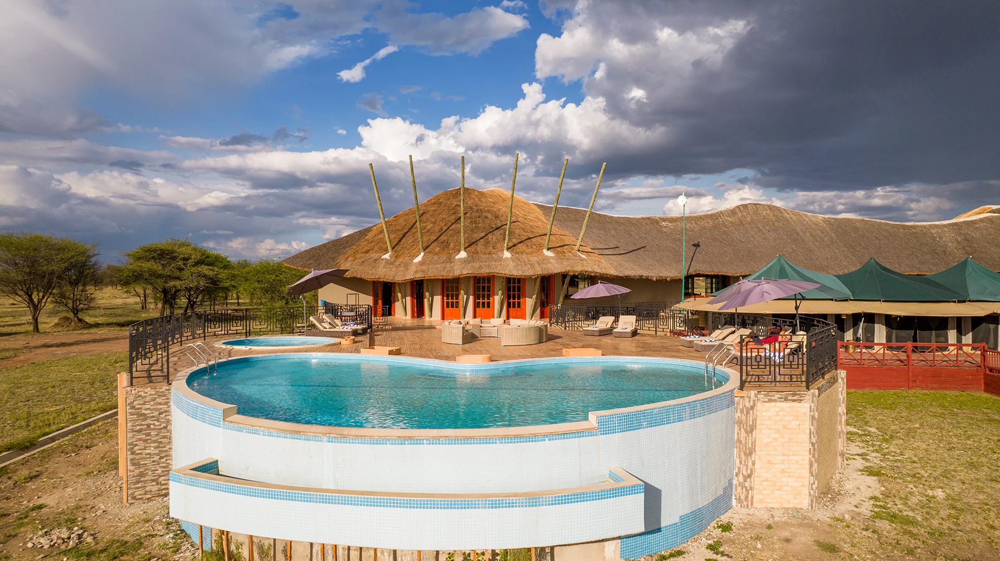 Why You Should Book Game Packages Directly with Safari Lodges
