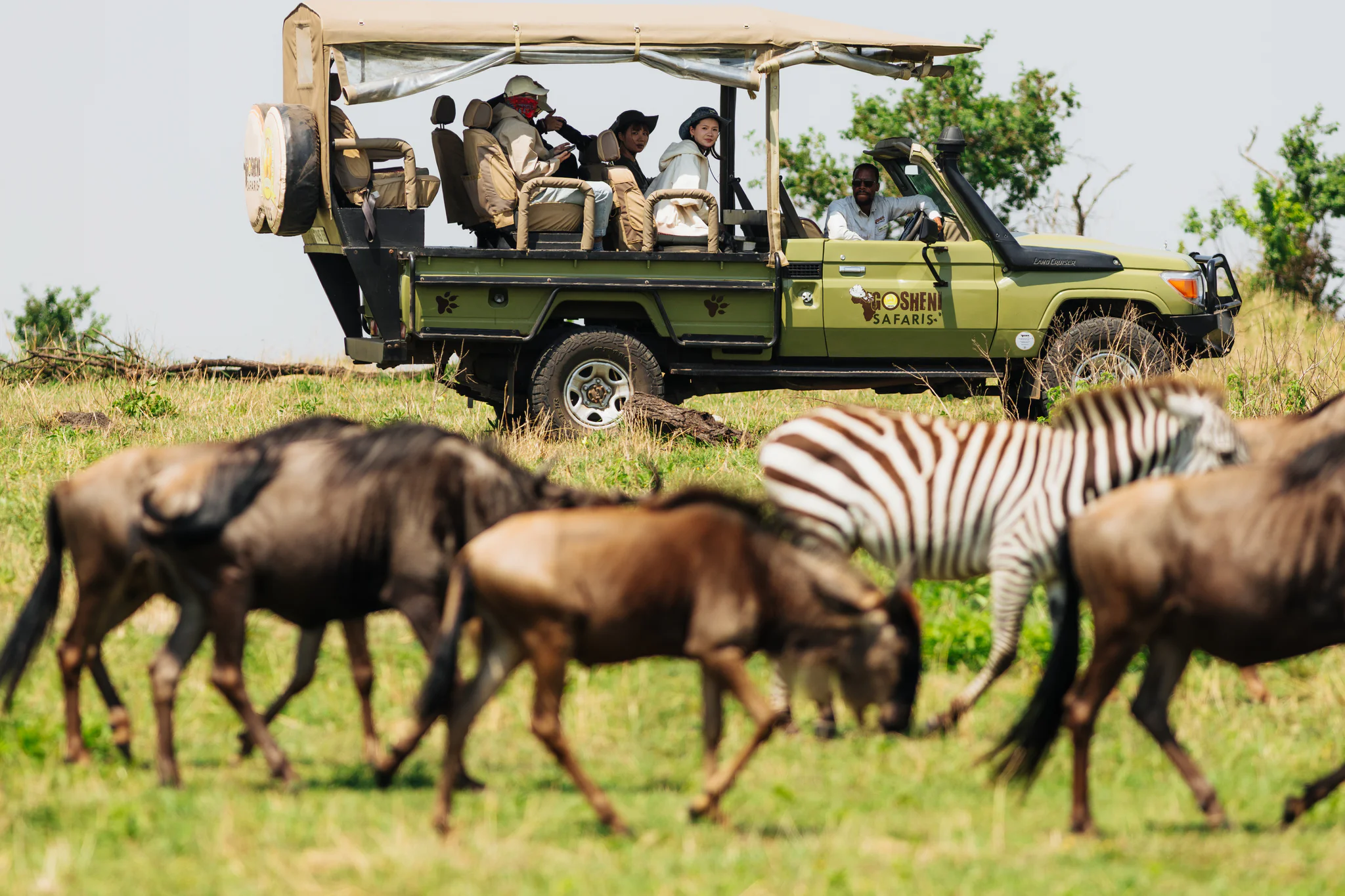 gosheni open jeep - 48_(2048)