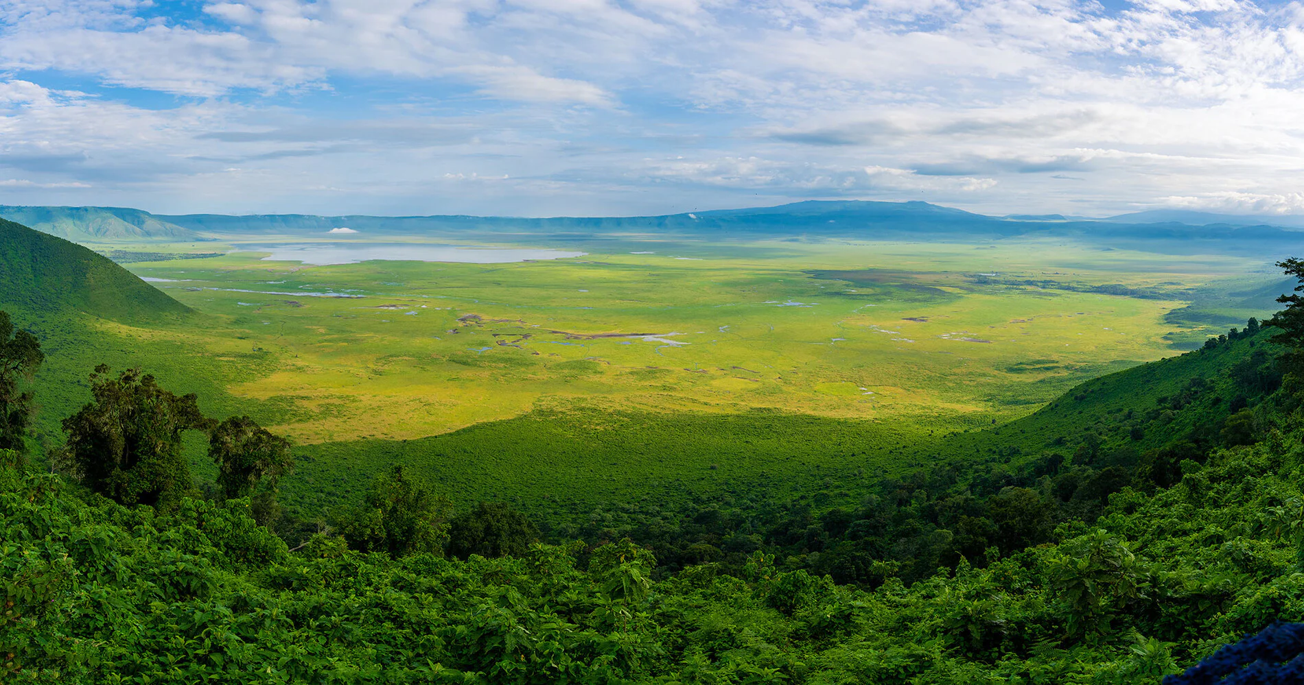 Ngorongoro Crater Tour