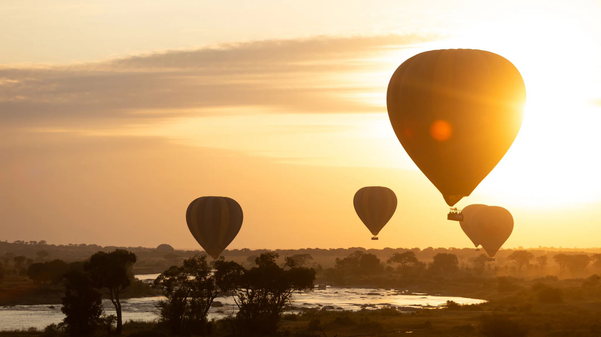 gosheni safari balloon - 31_(2048)
