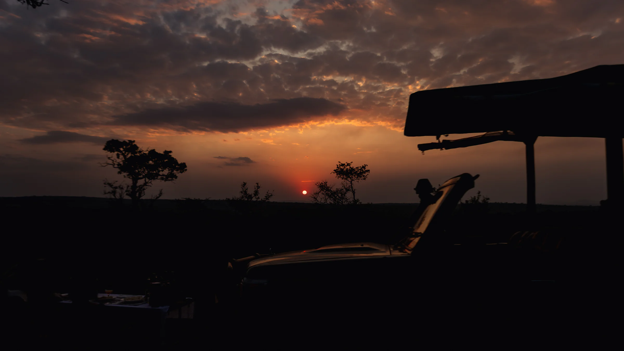 Safari sunset