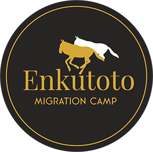 Enkutoto Migration Camp logo