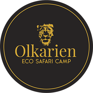 Olkarien Eco Safari Lodge