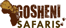 gosheni