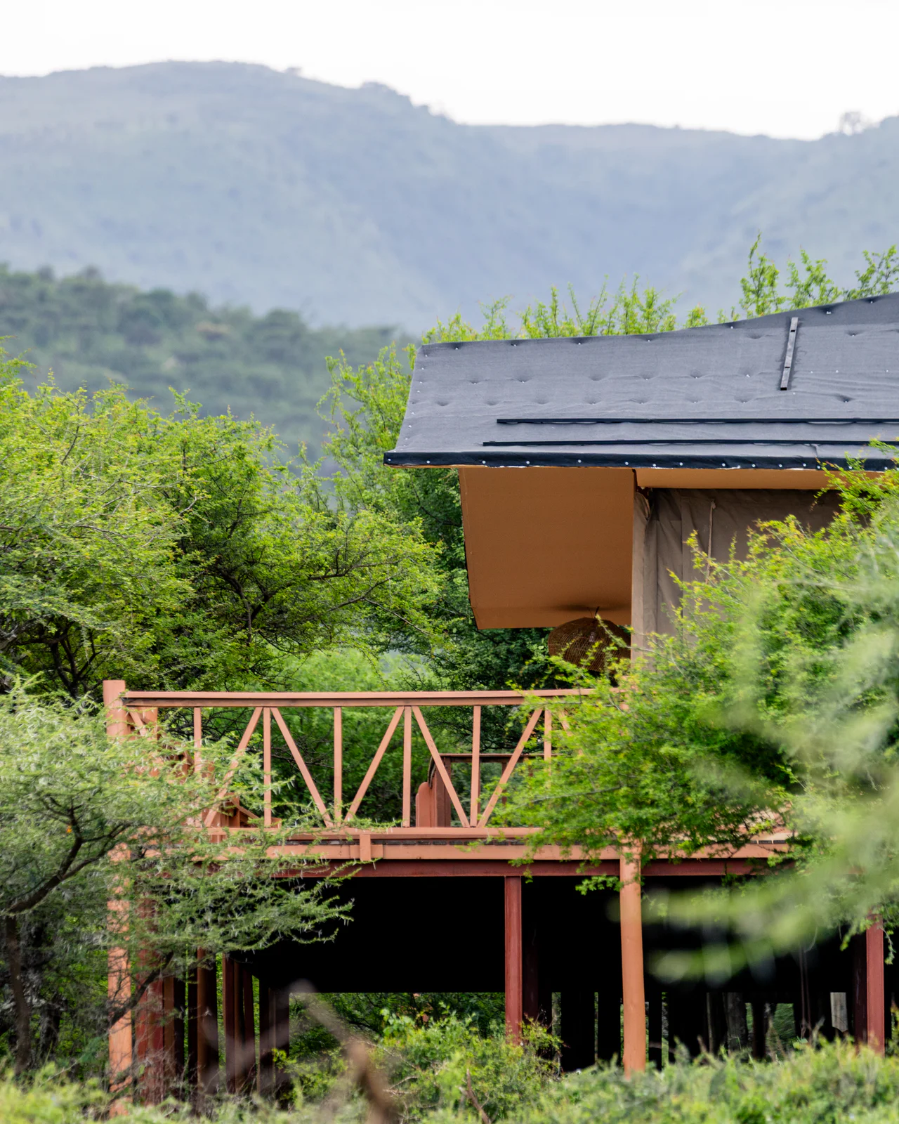 naserian safari camp-103