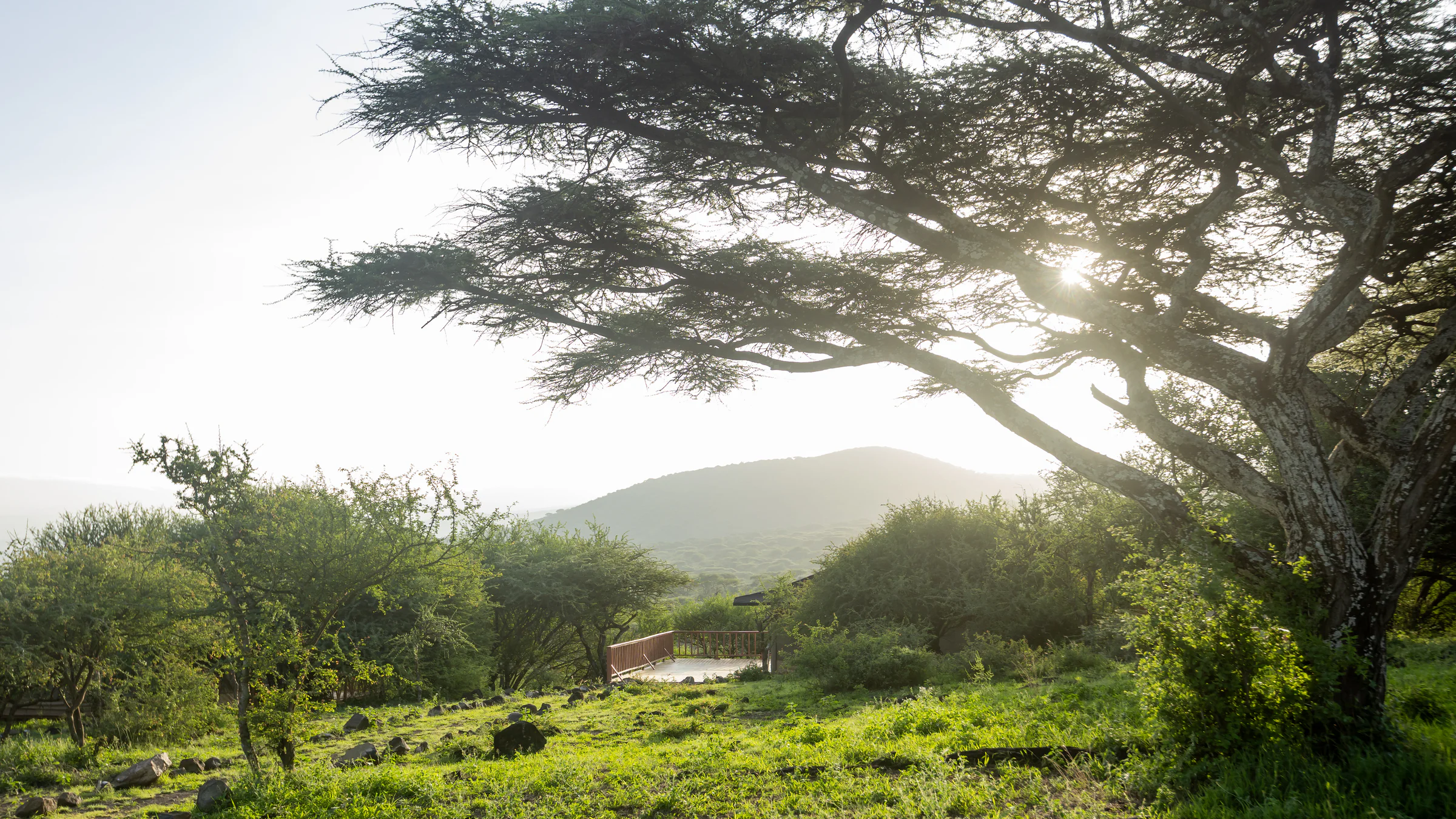 naserian safari camp-32
