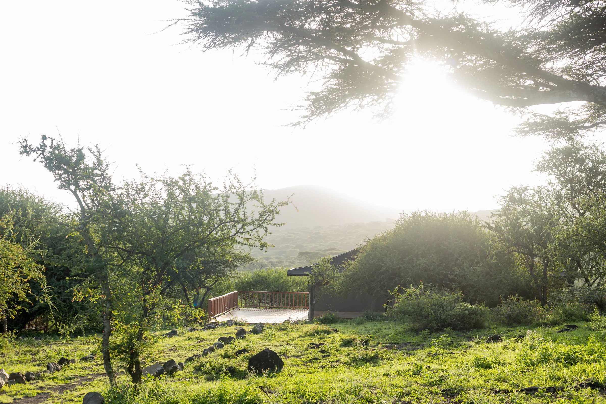 naserian safari camp-33