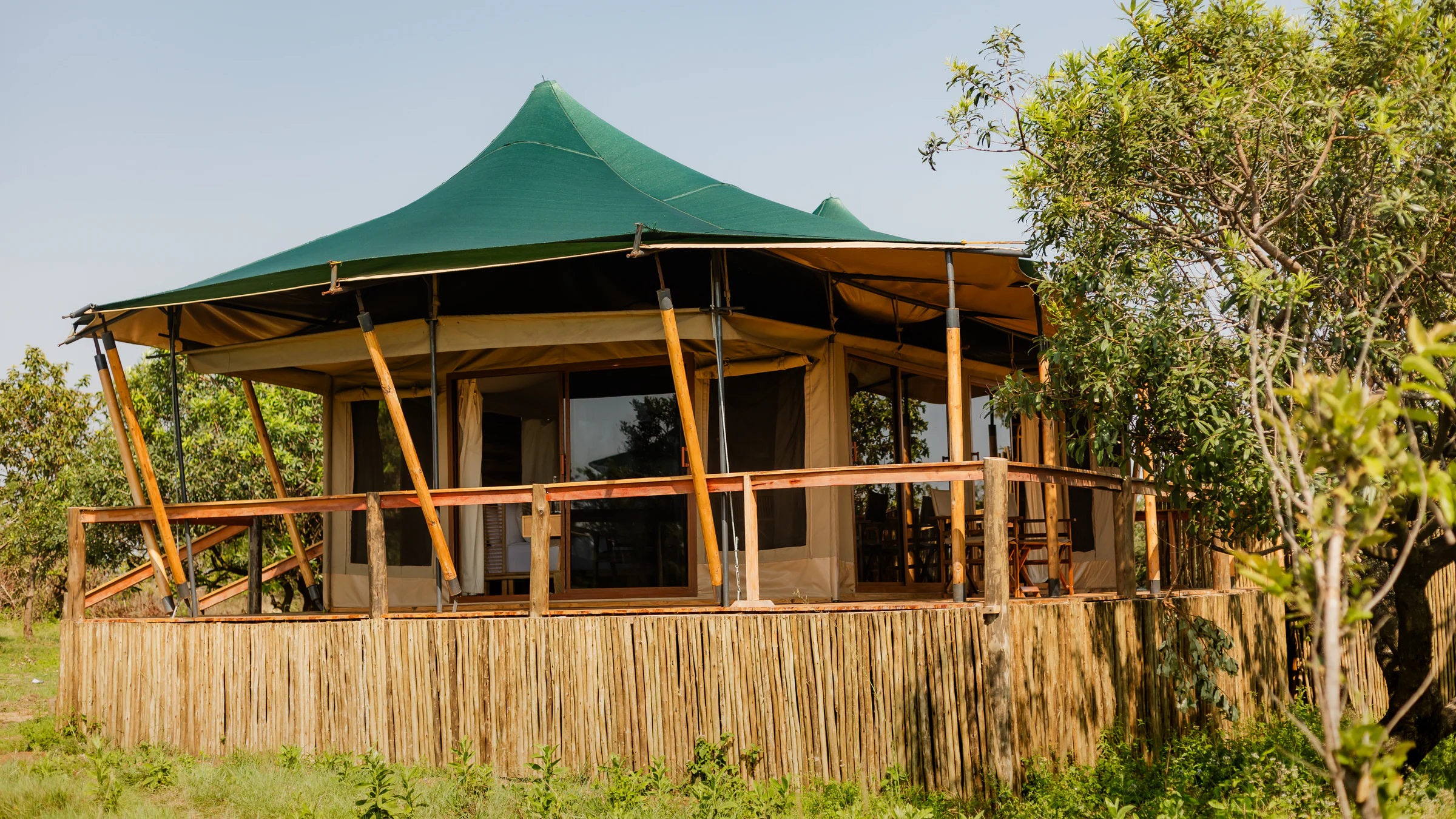 enkutoto acacia collection-212