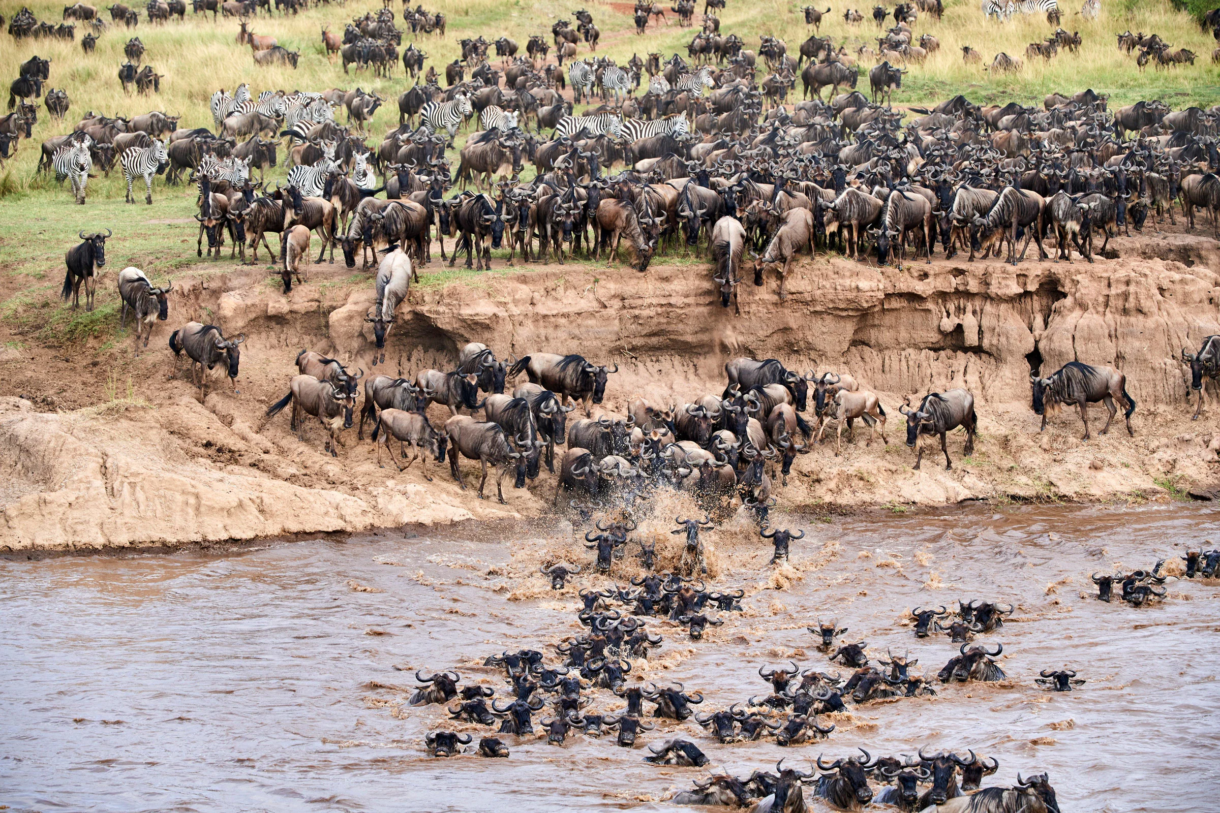 3 Days Serengeti Great Migration Unveiled – River Crossing