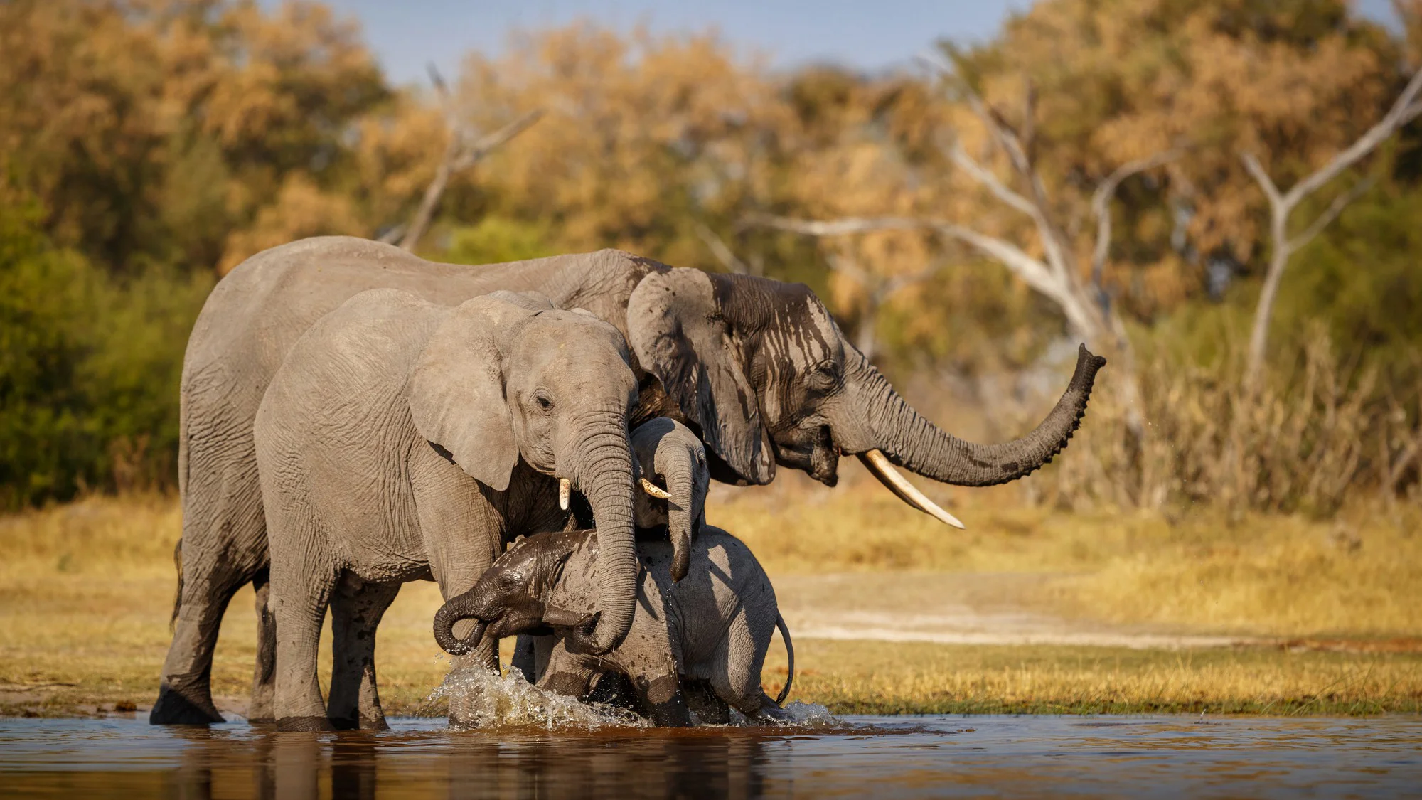 3 Days Authentic Tarangire Safari