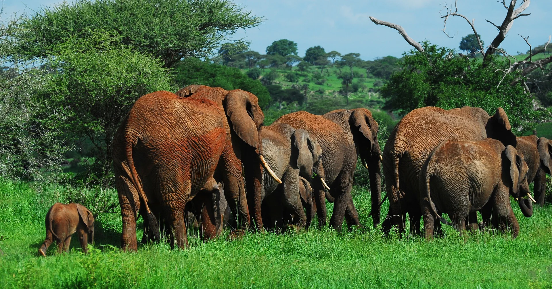 3-Days Explore Tarangire National park