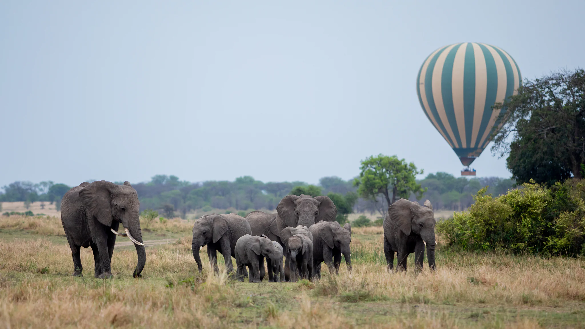 4 Days Explore Serengeti Safari